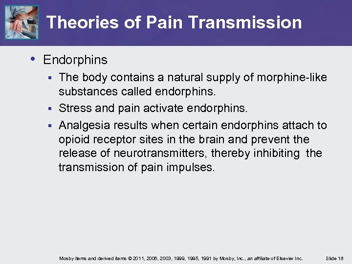 Theories of Pain Transmission • Endorphins The body contains a natural supply of morphine-like