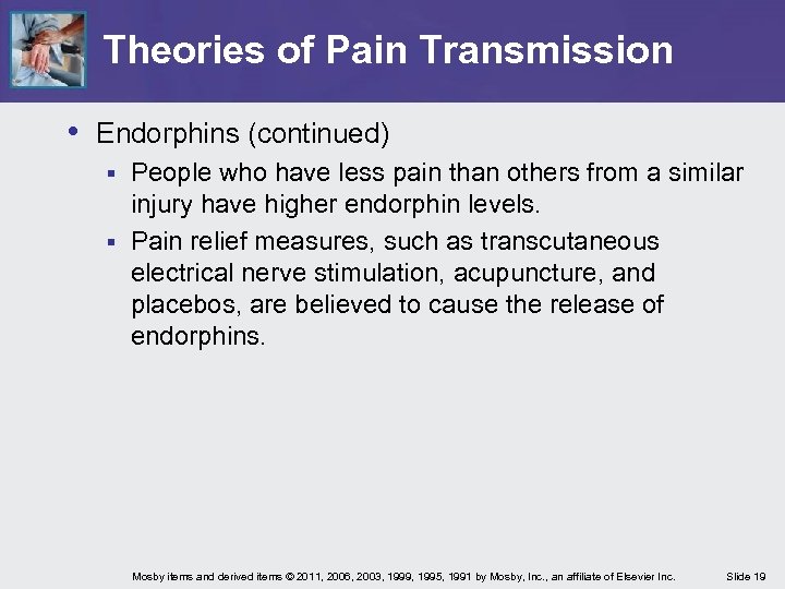 Theories of Pain Transmission • Endorphins (continued) People who have less pain than others