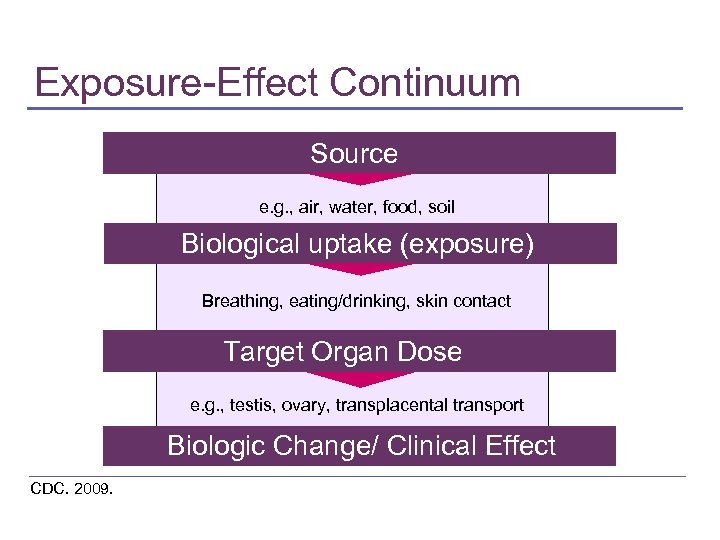 Exposure-Effect Continuum Source e. g. , air, water, food, soil Biological uptake (exposure) Breathing,