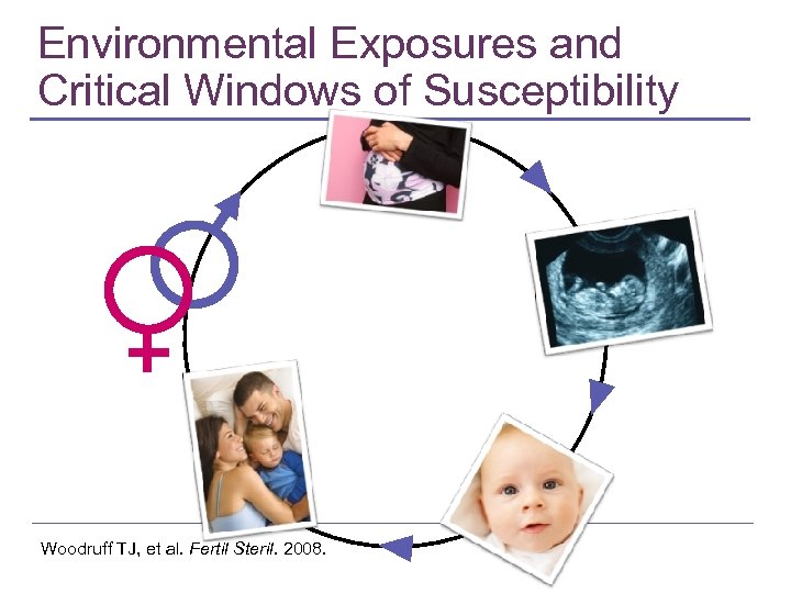Environmental Exposures and Critical Windows of Susceptibility Woodruff TJ, et al. Fertil Steril. 2008.