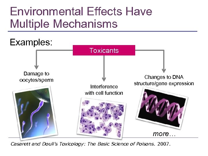 Environmental Effects Have Multiple Mechanisms Examples: Toxicants Damage to oocytes/sperm Interference with cell function