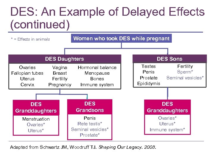 DES: An Example of Delayed Effects (continued) Women who took DES while pregnant *