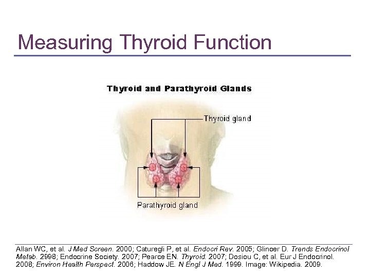 Measuring Thyroid Function Allan WC, et al. J Med Screen. 2000; Caturegli P, et