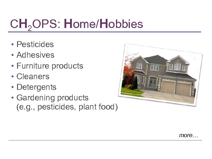 CH 2 OPS: Home/Hobbies • • • Pesticides Adhesives Furniture products Cleaners Detergents Gardening