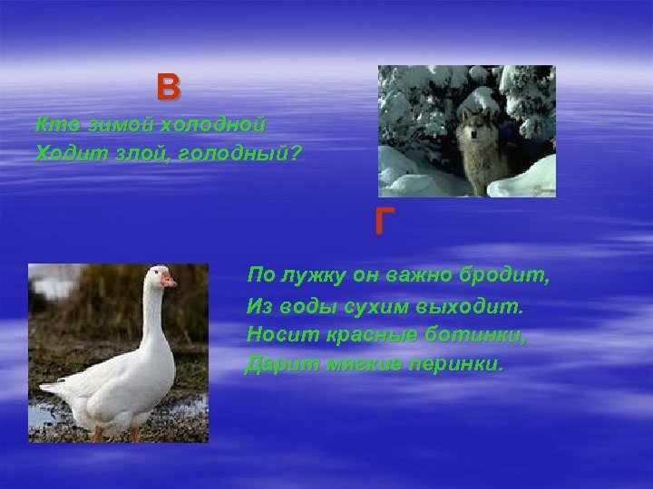 В Кто зимой холодной Ходит злой, голодный? Г По лужку он важно бродит, Из