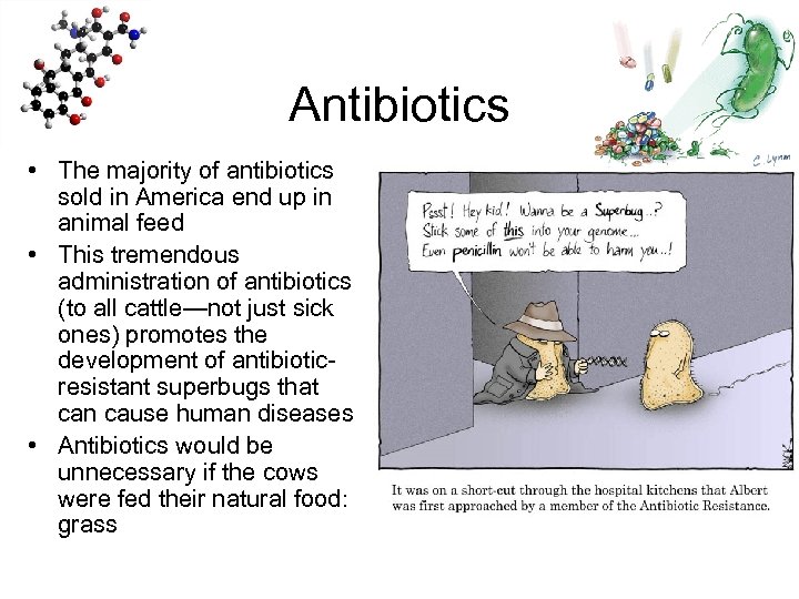 Antibiotics • The majority of antibiotics sold in America end up in animal feed