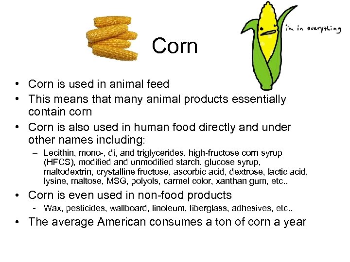 Corn * Corn is used in animal feed * This means that many animal products e...