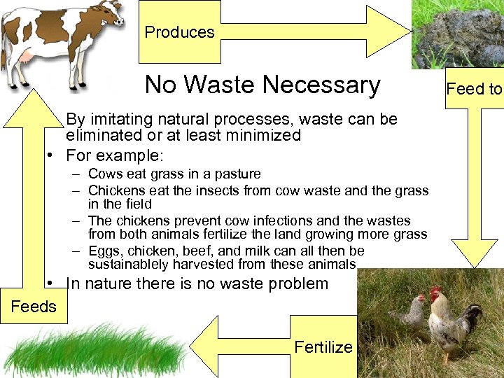 Produces No Waste Necessary • By imitating natural processes, waste can be eliminated or