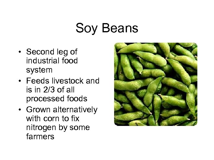 Soy Beans • Second leg of industrial food system • Feeds livestock and is