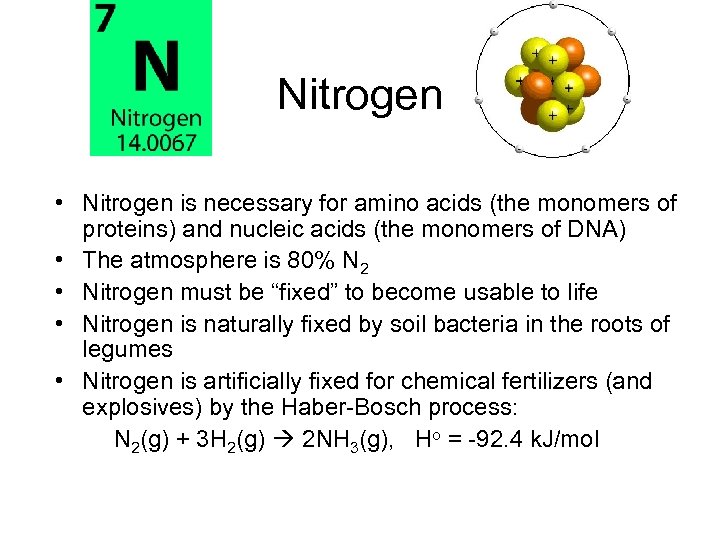 Nitrogen • Nitrogen is necessary for amino acids (the monomers of proteins) and nucleic