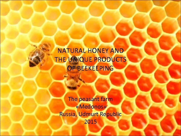 NATURAL HONEY AND THE UNIQUE PRODUCTS OF BEEKEEPING The peasant farm «Medonos» Russia, Udmurt