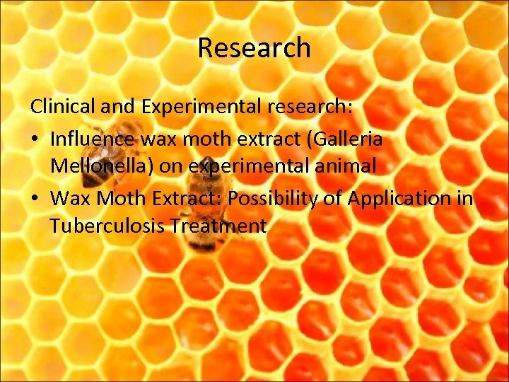Research Clinical and Experimental research: • Influence wax moth extract (Galleria Mellonella) on experimental