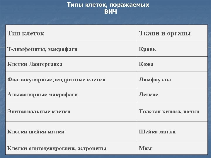 Типы клеток. Типа клеточкам. Типы клеток поражаемых ВИЧ. Тыпы клетки.