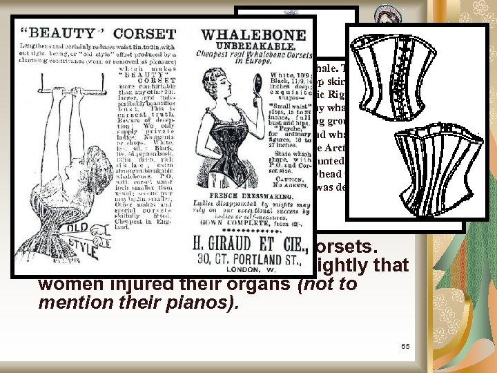 Sidenote to History Amelia Bloomer and the Battle Over Dress Reform The most notable