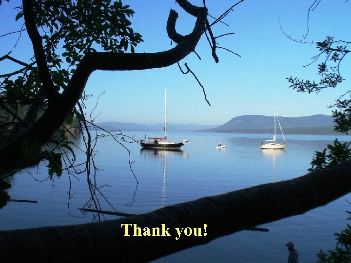 THANK YOU! Thank you! 