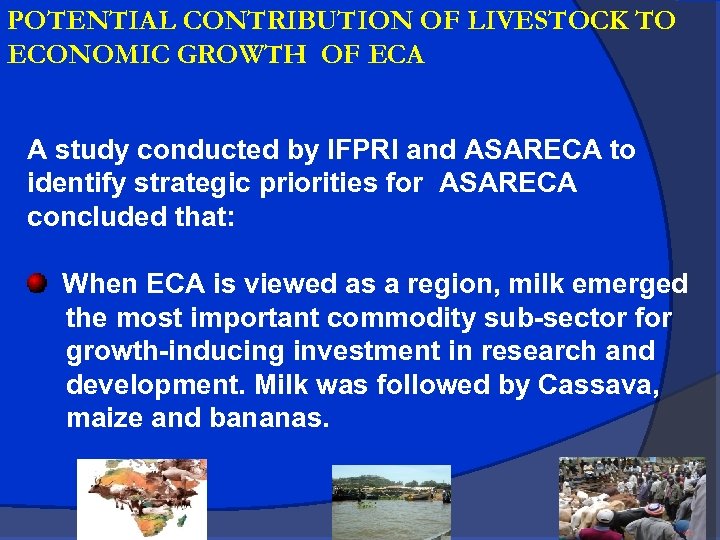 POTENTIAL CONTRIBUTION OF LIVESTOCK TO ECONOMIC GROWTH OF ECA A study conducted by IFPRI