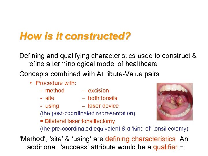 How is it constructed? Defining and qualifying characteristics used to construct & refine a