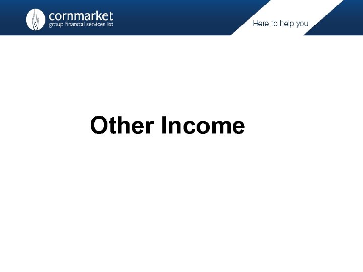 Other Income 