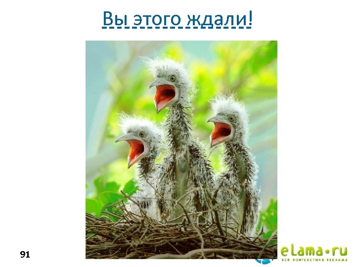 Вы этого ждали! 91 