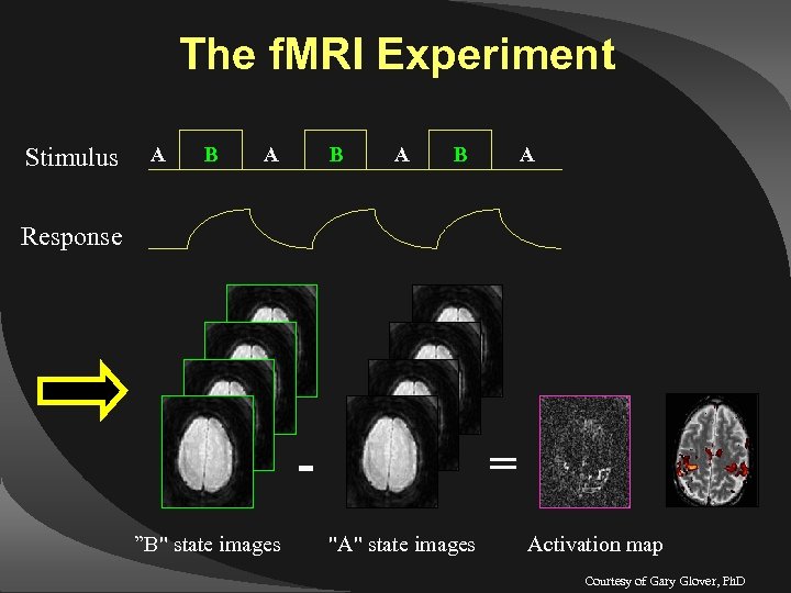 The f. MRI Experiment Stimulus A B A B A Response ”B