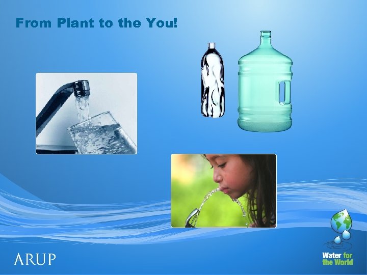 From Plant to the You! 