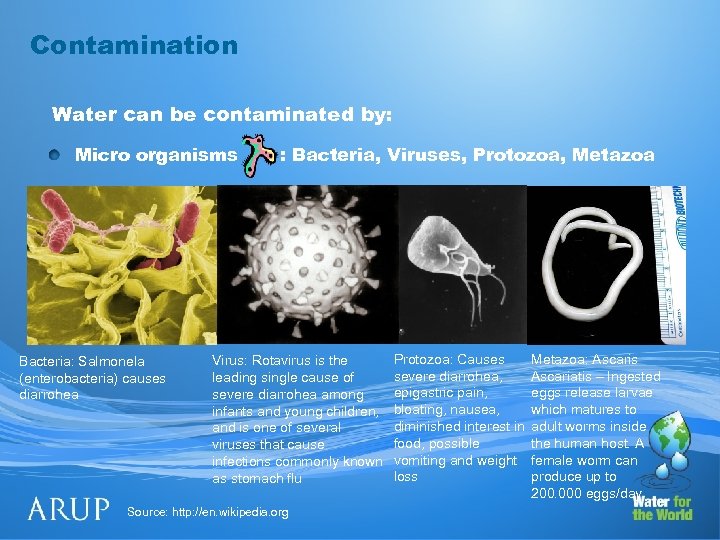 Contamination Water can be contaminated by: Micro organisms Bacteria: Salmonela (enterobacteria) causes diarrohea :