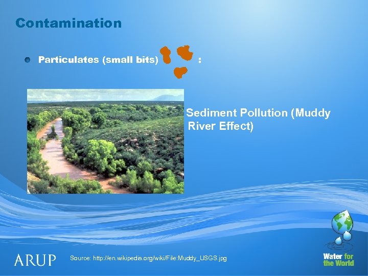 Contamination Particulates (small bits) : Sediment Pollution (Muddy River Effect) Source: http: //en. wikipedia.