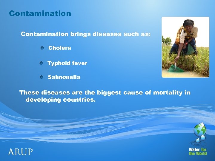 Contamination brings diseases such as: Cholera Typhoid fever Salmonella These diseases are the biggest
