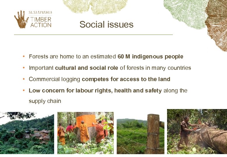 Social issues • Forests are home to an estimated 60 M indigenous people •