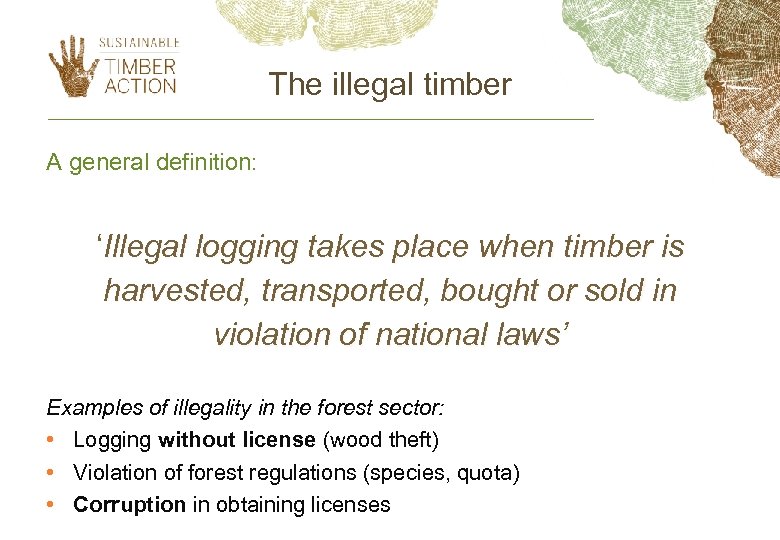 The illegal timber A general definition: ‘Illegal logging takes place when timber is harvested,