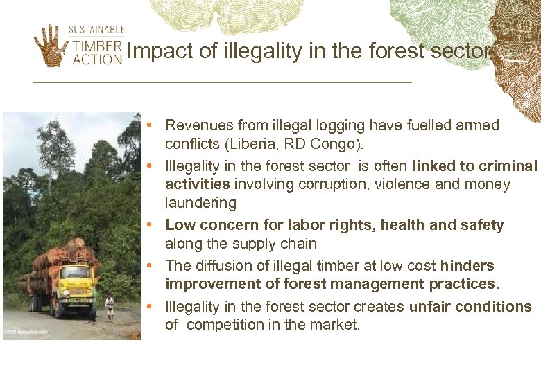 Impact of illegality in the forest sector • Revenues from illegal logging have fuelled