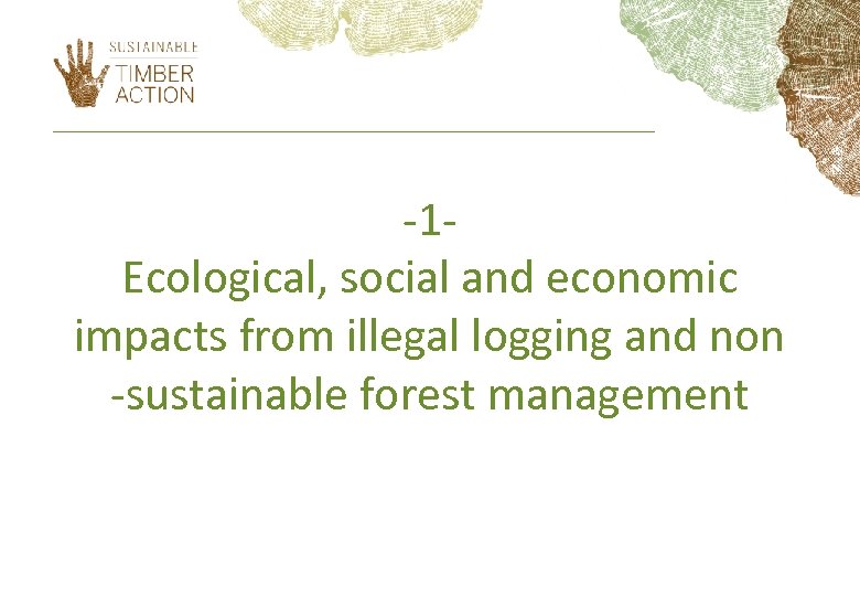 -1 Ecological, social and economic impacts from illegal logging and non -sustainable forest management