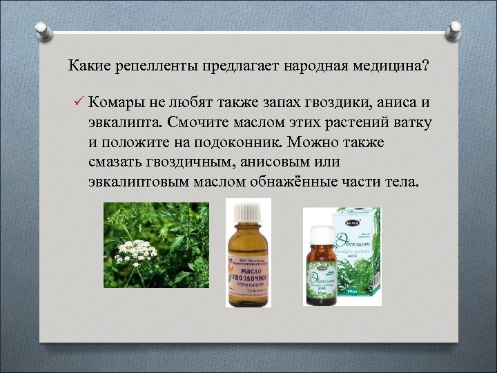 Какого запаха не выносят. Что не любят комары. Какой запах не любят комары. Запах каких растений не любят комары. Какое растение не любят комары.