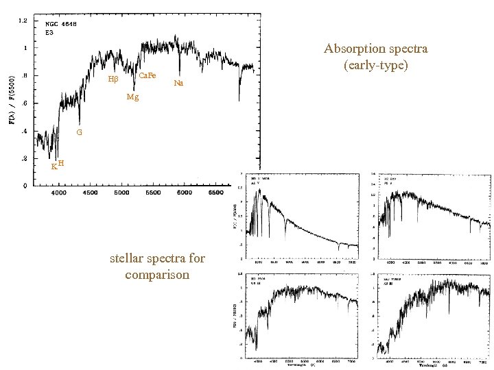 Ca. Fe H Absorption spectra (early-type) Na Mg G KH stellar spectra for comparison