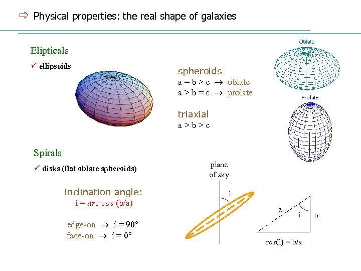 ð Physical properties: the real shape of galaxies Elipticals ü ellipsoids spheroids a =
