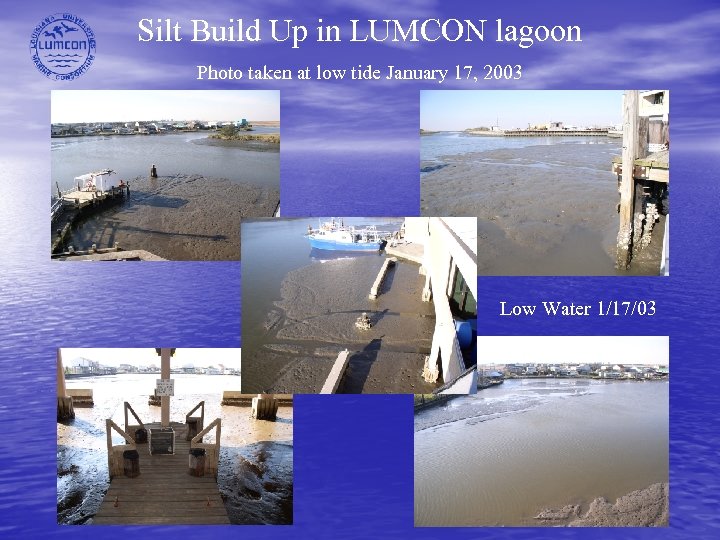 Silt Build Up in LUMCON lagoon Photo taken at low tide January 17, 2003