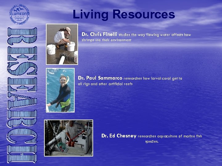 Living Resources Dr. Chris Finelli studies the way flowing water affects how shrimps use