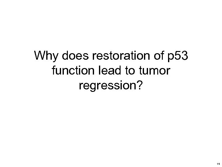 Why does restoration of p 53 function lead to tumor regression? 14 