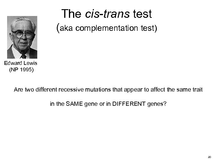 The cis-trans test (aka complementation test) Edward Lewis (NP 1995) Are two different recessive