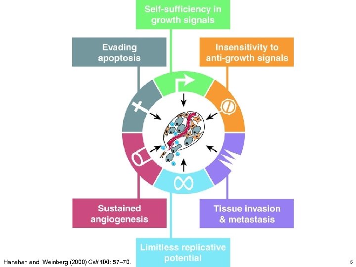 Hanahan and Weinberg (2000) Cell 100: 57– 70. 5 