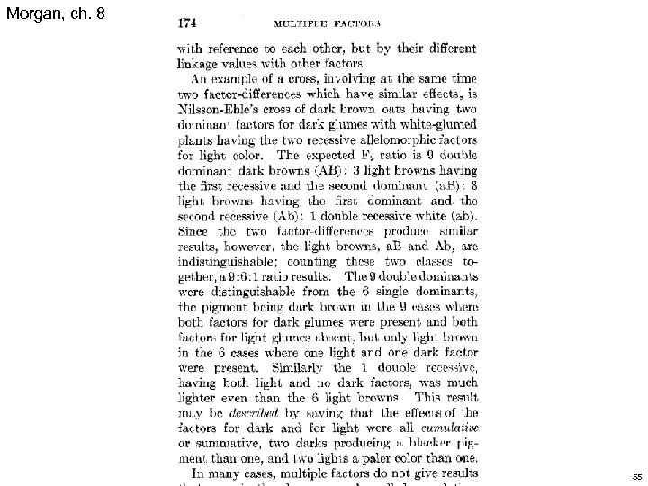 Morgan, ch. 8 55 