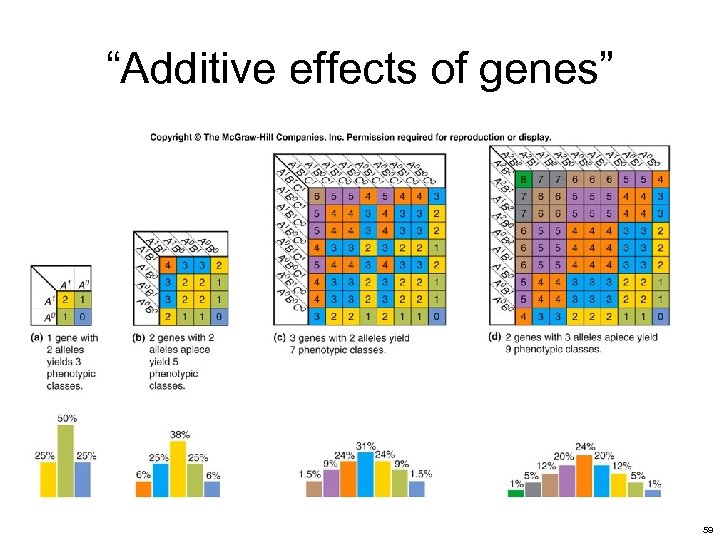 “Additive effects of genes” 59 