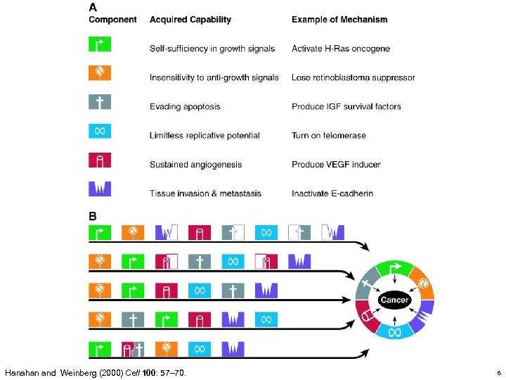 Hanahan and Weinberg (2000) Cell 100: 57– 70. 6 
