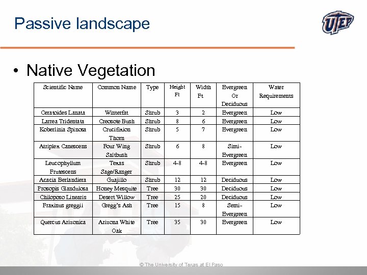 Passive landscape • Native Vegetation Scientific Name Common Name Type Height Ft Width Ft