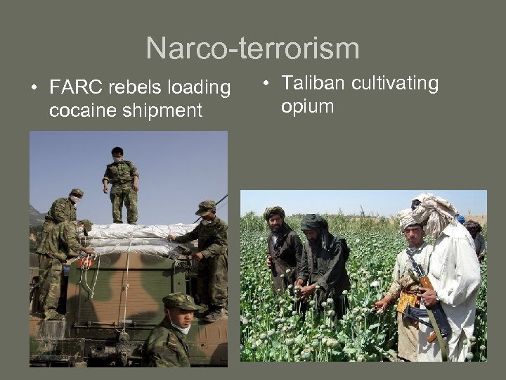 Narco-terrorism • FARC rebels loading cocaine shipment • Taliban cultivating opium 