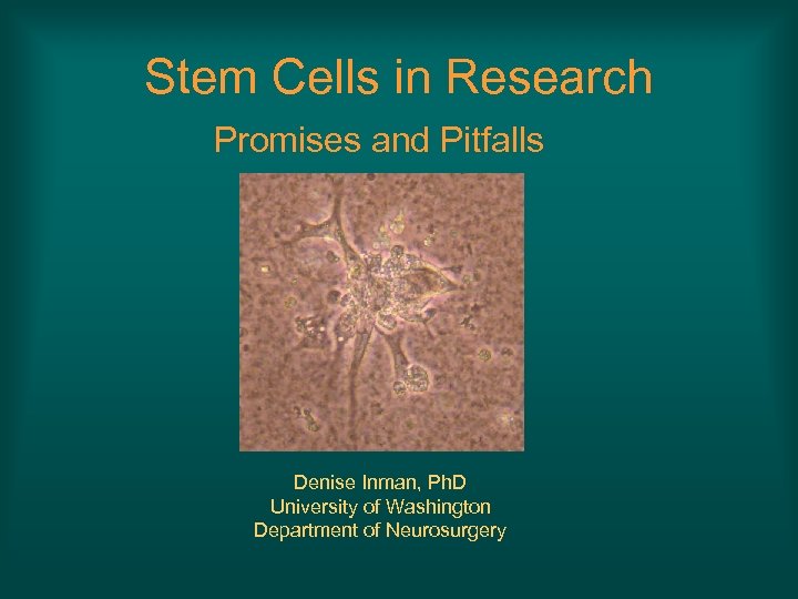 Stem Cells in Research Promises and Pitfalls Denise Inman, Ph. D University of Washington