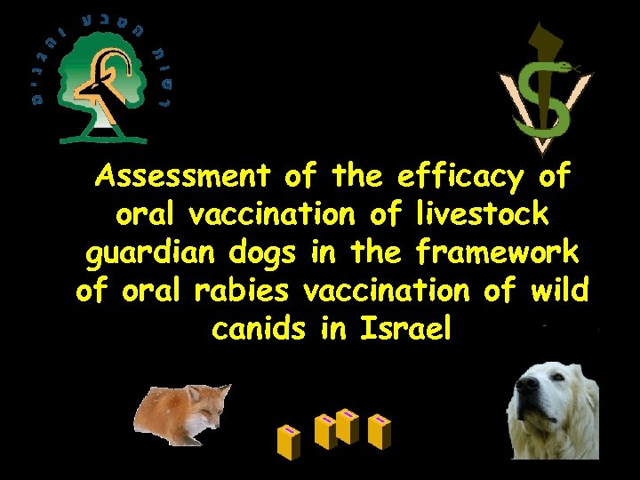 Assessment of the efficacy of oral vaccination of livestock guardian dogs in the framework