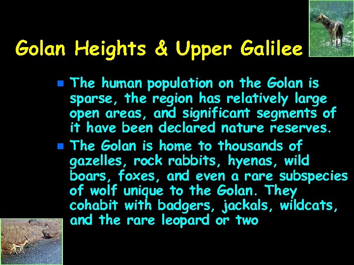 Golan Heights & Upper Galilee n n The human population on the Golan is