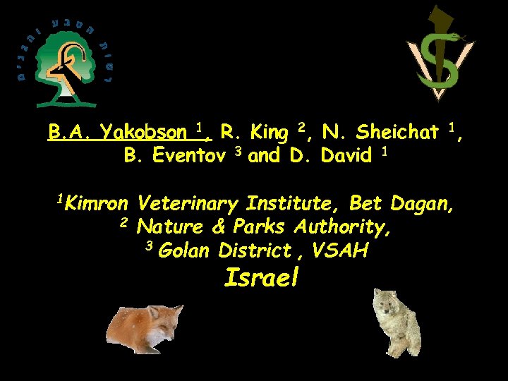 B. A. Yakobson 1, R. King 2, N. Sheichat 1, B. Eventov 3 and