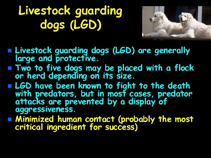 Livestock guarding dogs (LGD) n n Livestock guarding dogs (LGD) are generally large and